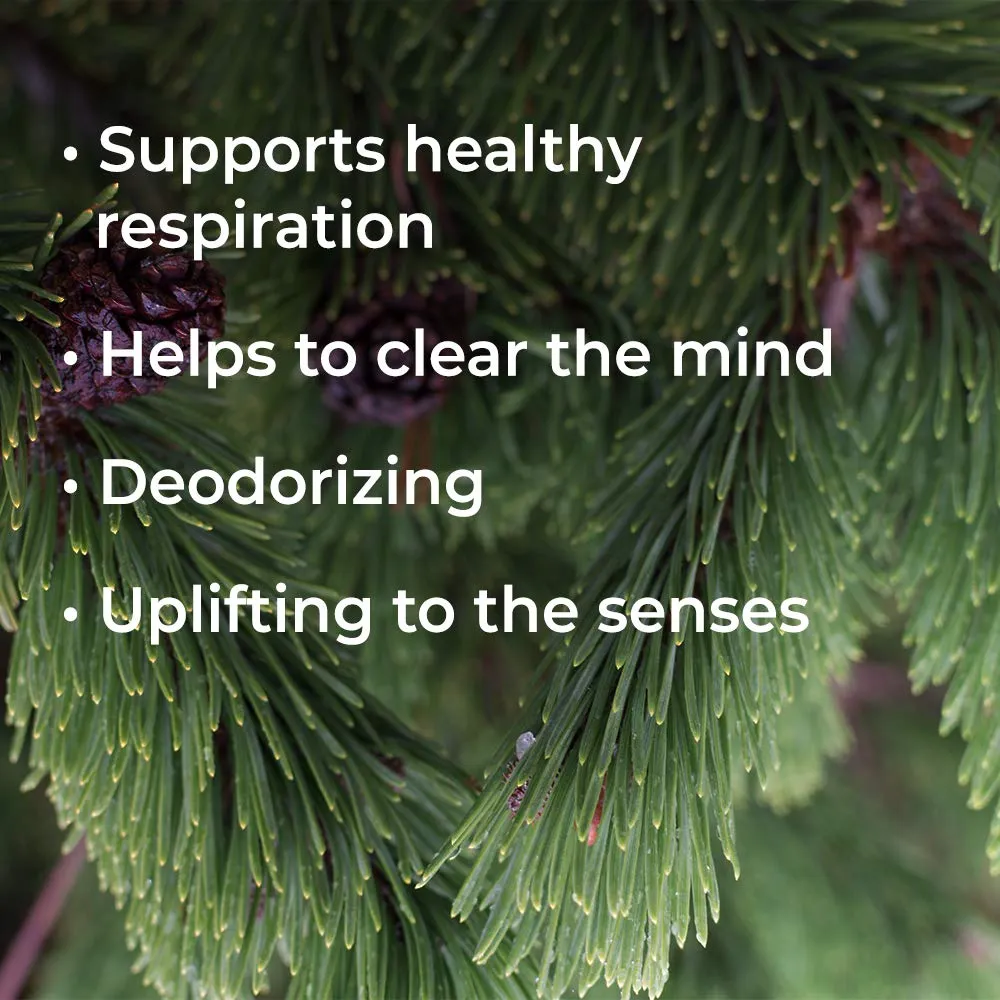 Plant Therapy Douglas Fir Essential Oil