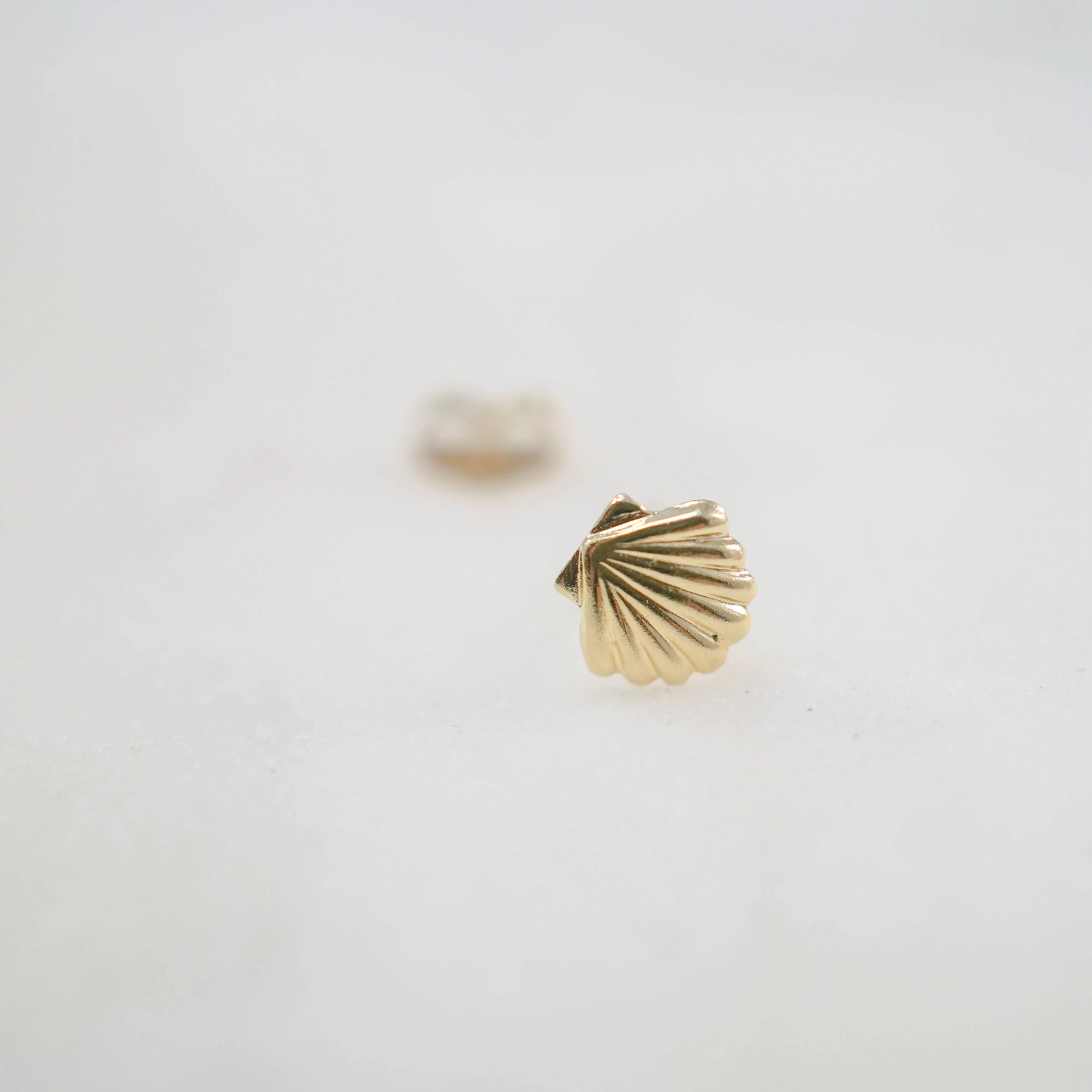 Sea Shell Stud